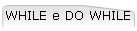 WHILE e DO WHILE